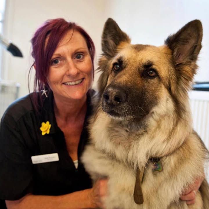 Jane's Professional Dog Grooming